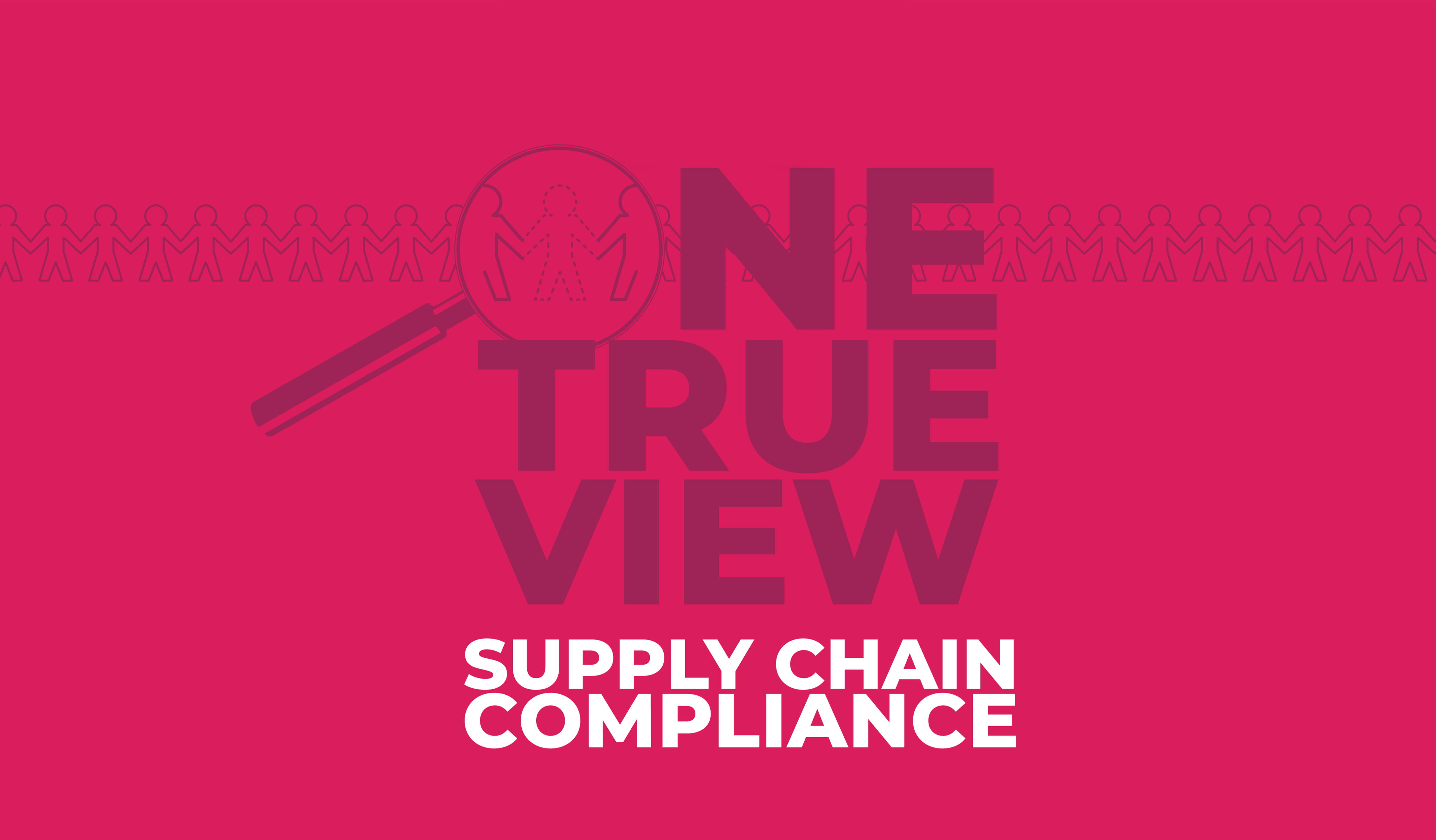 One True View (002)